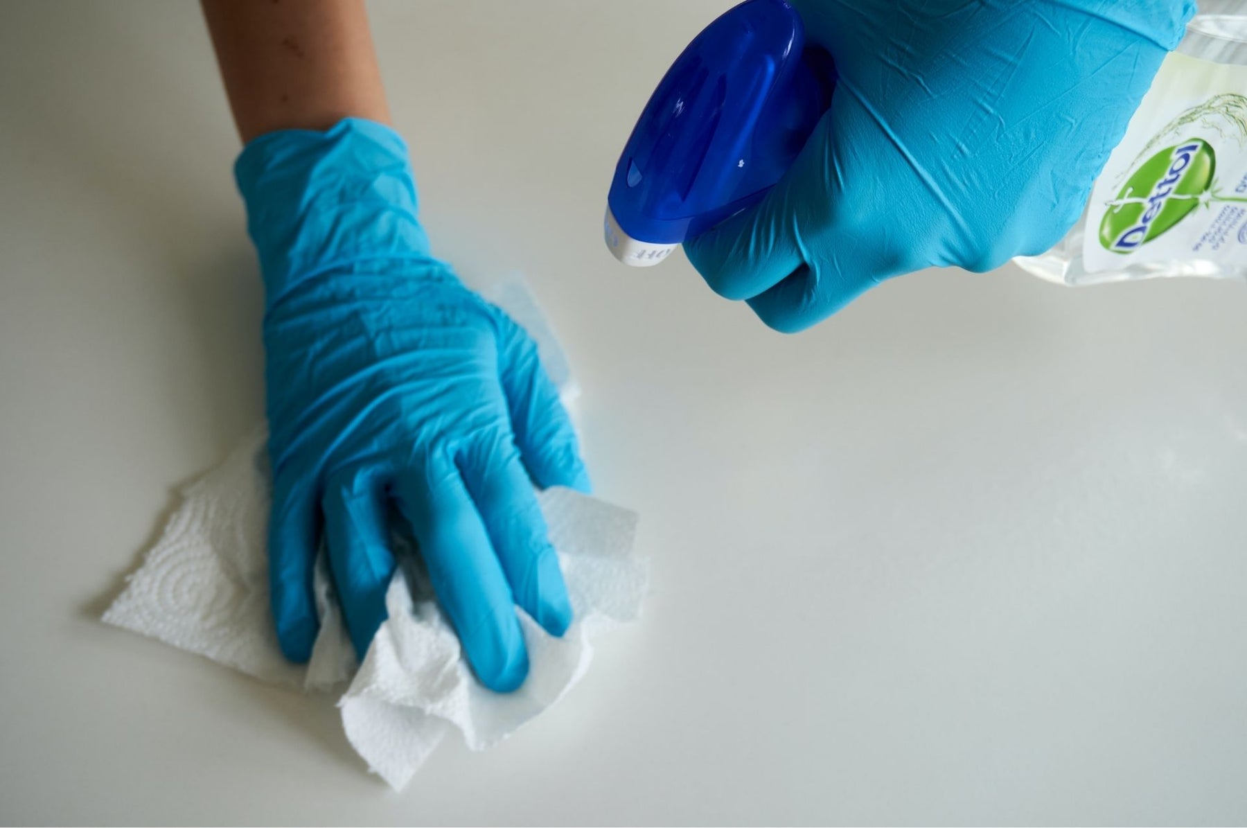 Permetryna i jej skutki uboczne: Uwaga jest szczególnie ważna dla właścicieli kotów!