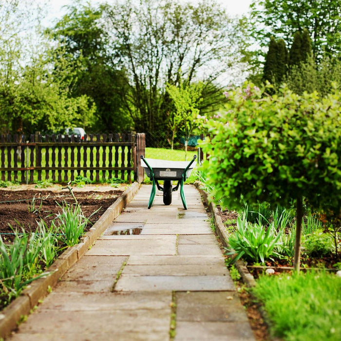 Blick in einen Schrebergarten