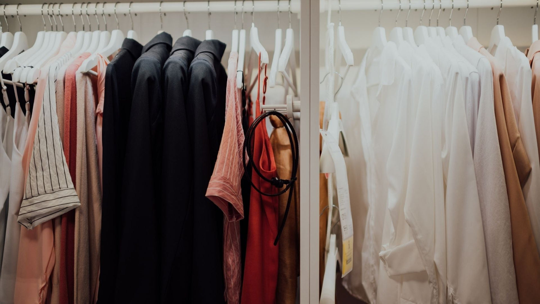 Znajdź i skutecznie zwalczaj jaja chrząszczy dywanowych