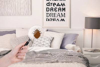 Kobieta za pomocą szkła powiększającego wykrywająca pluskwę w sypialni