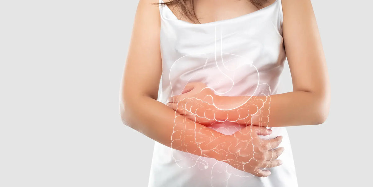 Abbildung des Darms und der inneren Organe im weiblichen Körper auf grauem Hintergrund und auf der linken Seite des Raumes. Das Konzept der medizinischen Behandlung und der Gesundheitsversorgung.