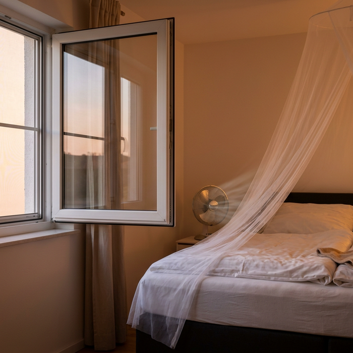 Was tun gegen Mücken im Zimmer: Die besten Strategien für ruhige Nächte