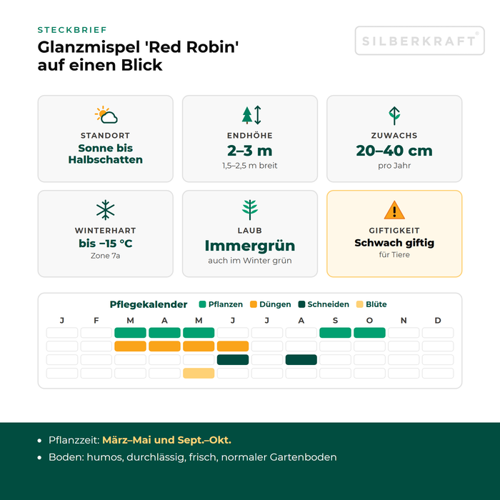 Karta informacyjna głogownika 'Red Robin': stanowisko słoneczne do półcienistego, wysokość docelowa 2–3 m, przyrost 20–40 cm rocznie, mrozoodporność do −15 °C – z kalendarzem pielęgnacji