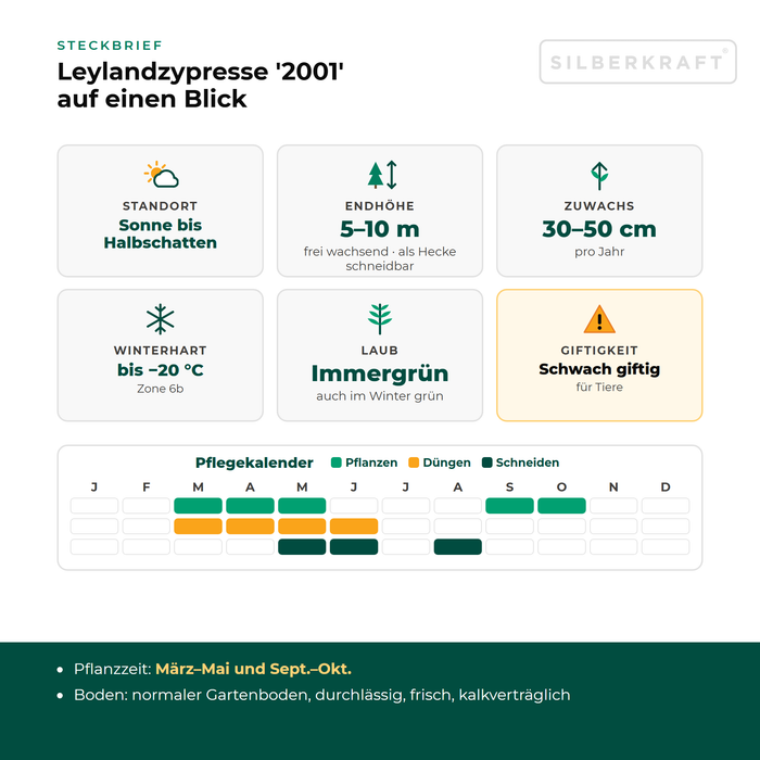 Charakterystyka cyprysowca Leylanda '2001': stanowisko słoneczne do półcienistego, wysokość docelowa 5–10 m, przyrost 30–50 cm rocznie, mrozoodporność do −20 °C – z kalendarzem pielęgnacji
