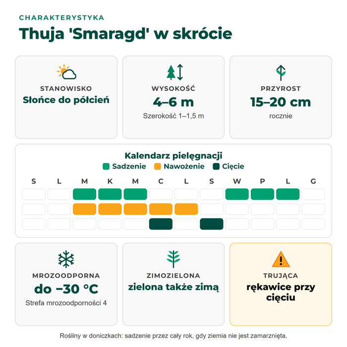 Charakterystyka thui 'Smaragd': słońce do półcienia, 4–6 m wysokości, przyrost 15–20 cm rocznie, mrozoodporna do −30 °C, trująca, z kalendarzem pielęgnacji