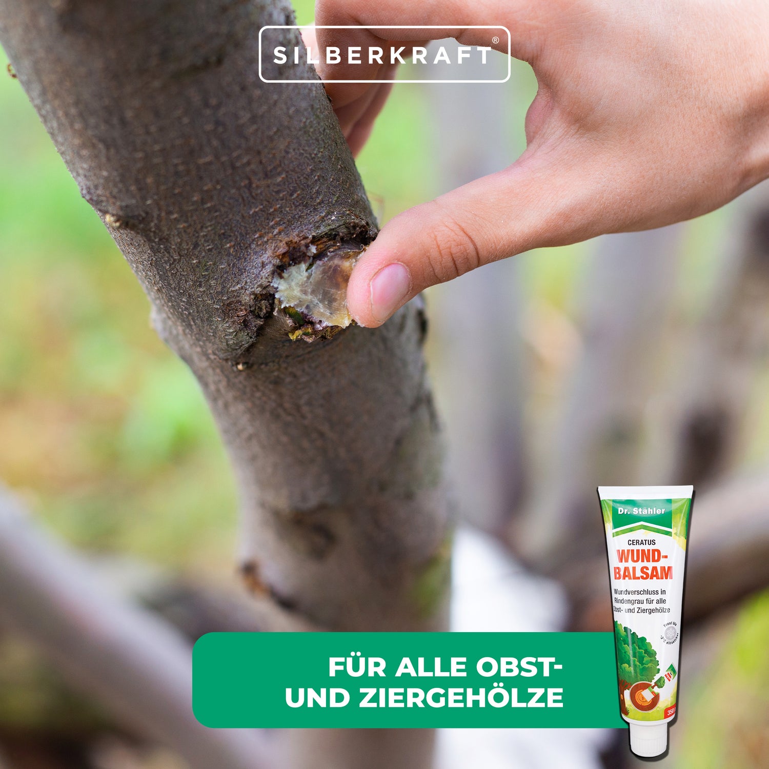 Ceratus Wundbalsam – Mittel zur Wundversorgung für Bäume - Silberkraft
