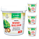 Balsam do ran Ceratus – produkty do pielęgnacji ran dla drzew - Silberkraft