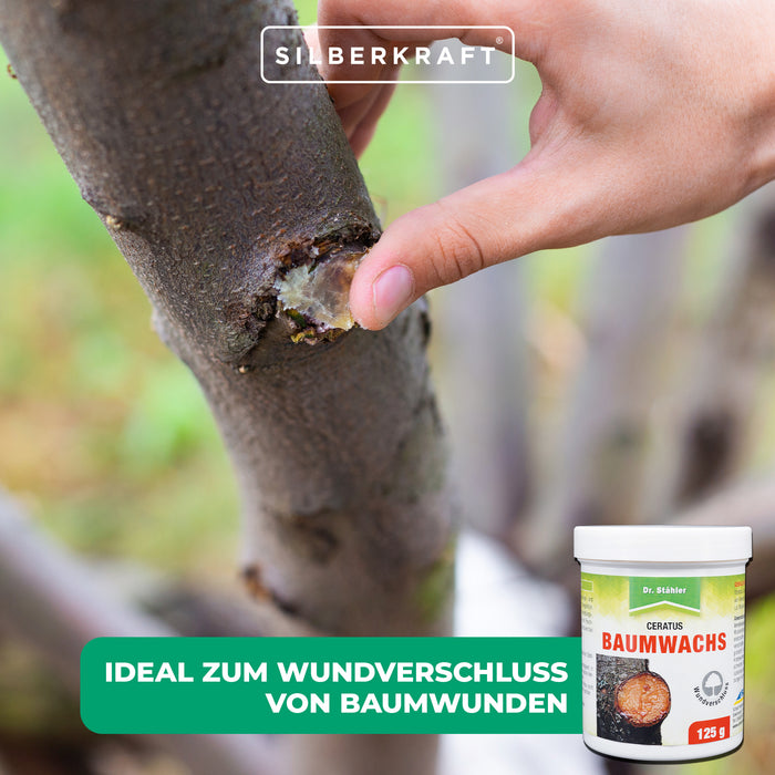 Ceratus Baumwachs: ideales Veredlungs- und Wundverschlussmittel für Obst- und Ziergehölze - Silberkraft