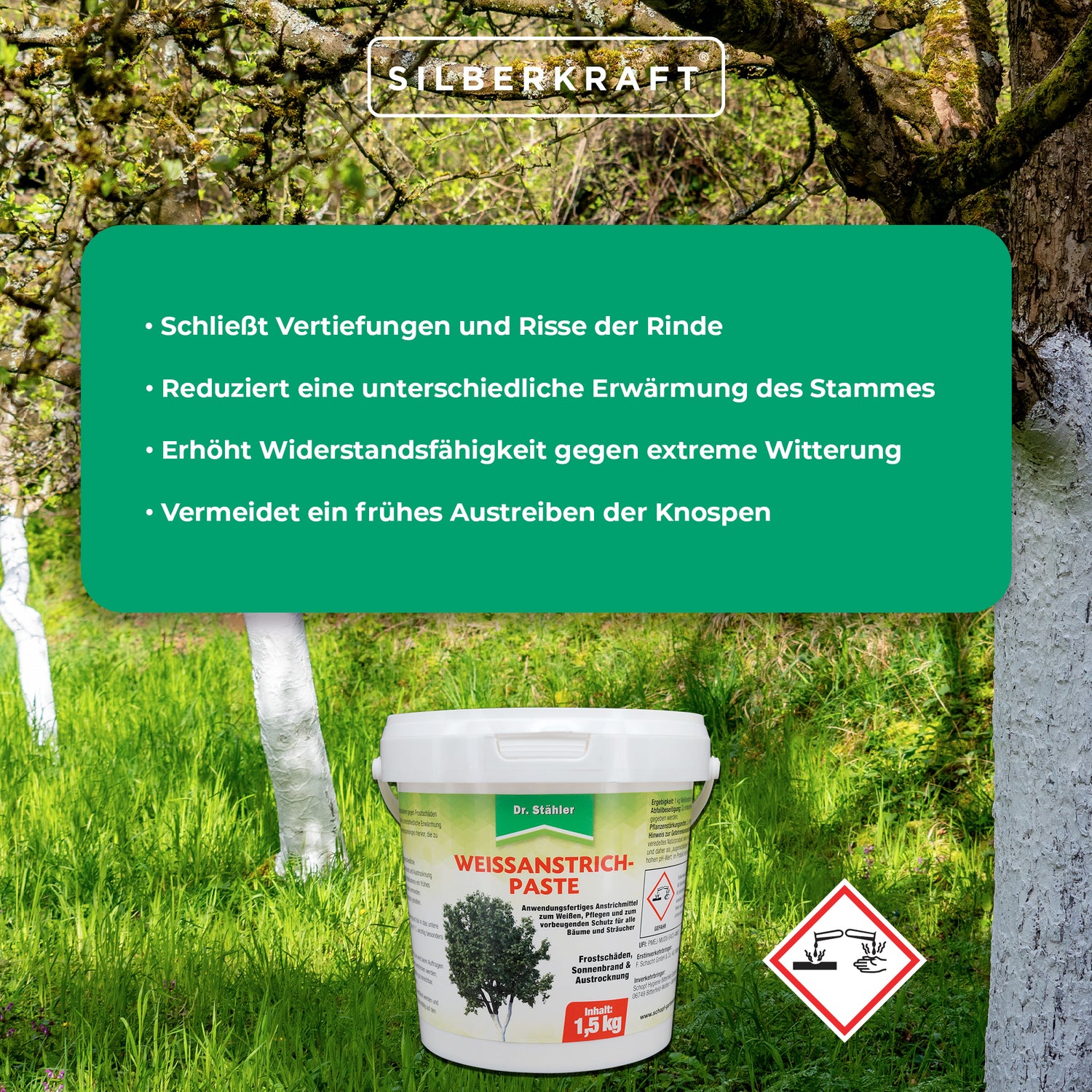 Effektiver Schutz für Bäume & Sträucher: Weißanstrich-Paste gegen Frostschäden - Silberkraft