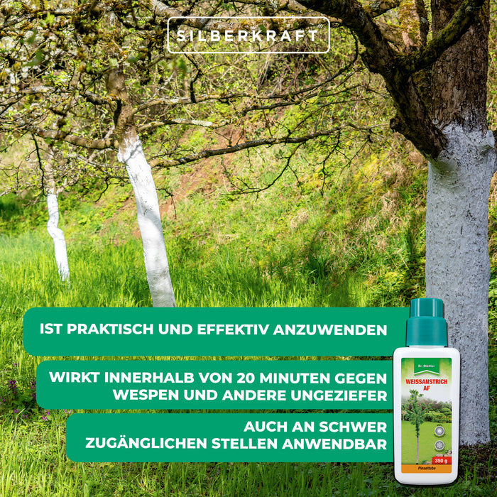 Weißanstrich AF: Effektiver Schutz vor Frost- und Hitzeschäden für Bäume und Sträucher - Silberkraft