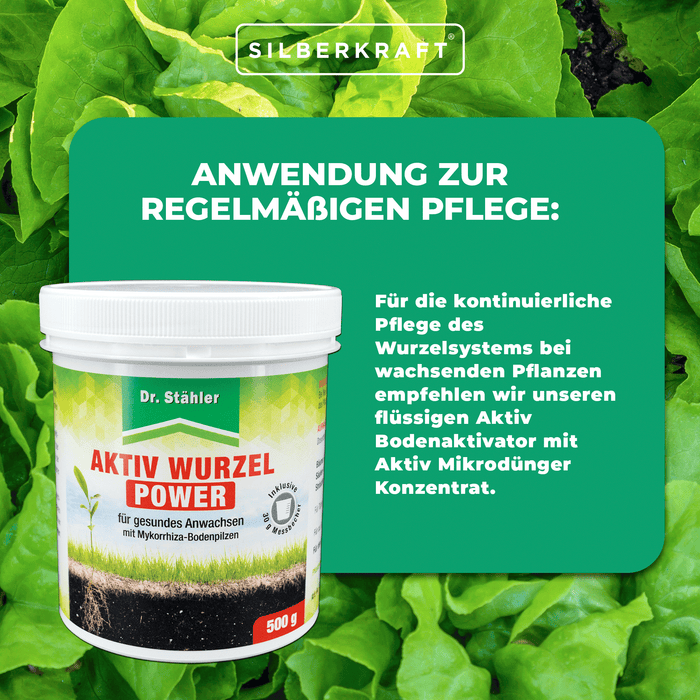 Aktiv Wurzel Power: Optimale Pflanzenstärkung mit Mykorrhiza-Bodenpilzen - Silberkraft