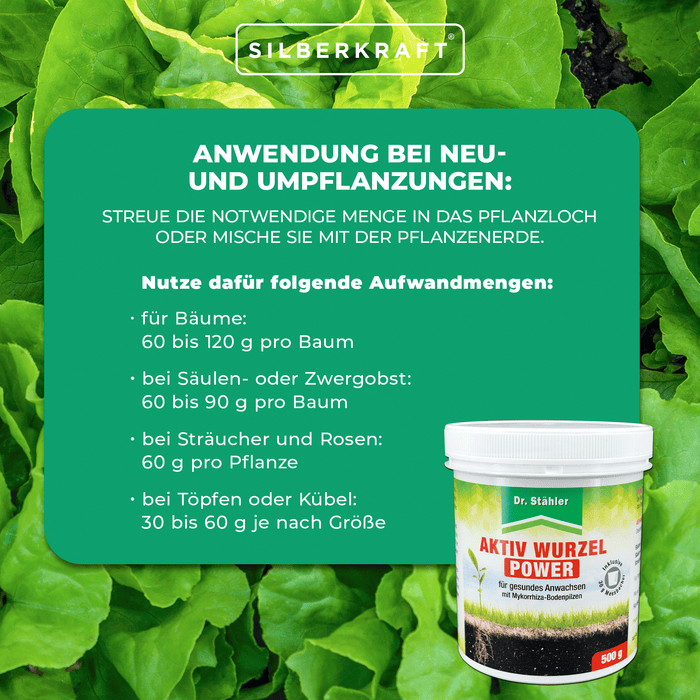 Aktiv Wurzel Power: Optimale Pflanzenstärkung mit Mykorrhiza-Bodenpilzen - Silberkraft