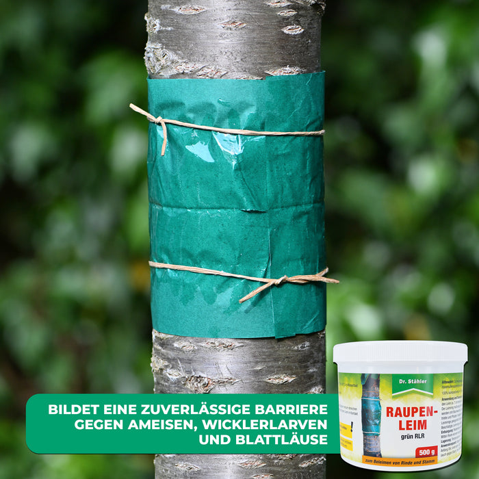 Effektiver Raupenleim für optimale Schädlingsbekämpfung - Silberkraft