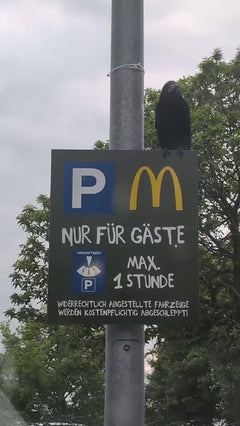 wieża – Frankfurt am Main
