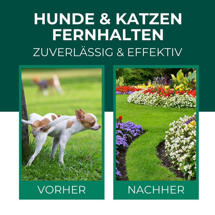 Hunde & Katzen Stopp Ex Granulat - Silberkraft