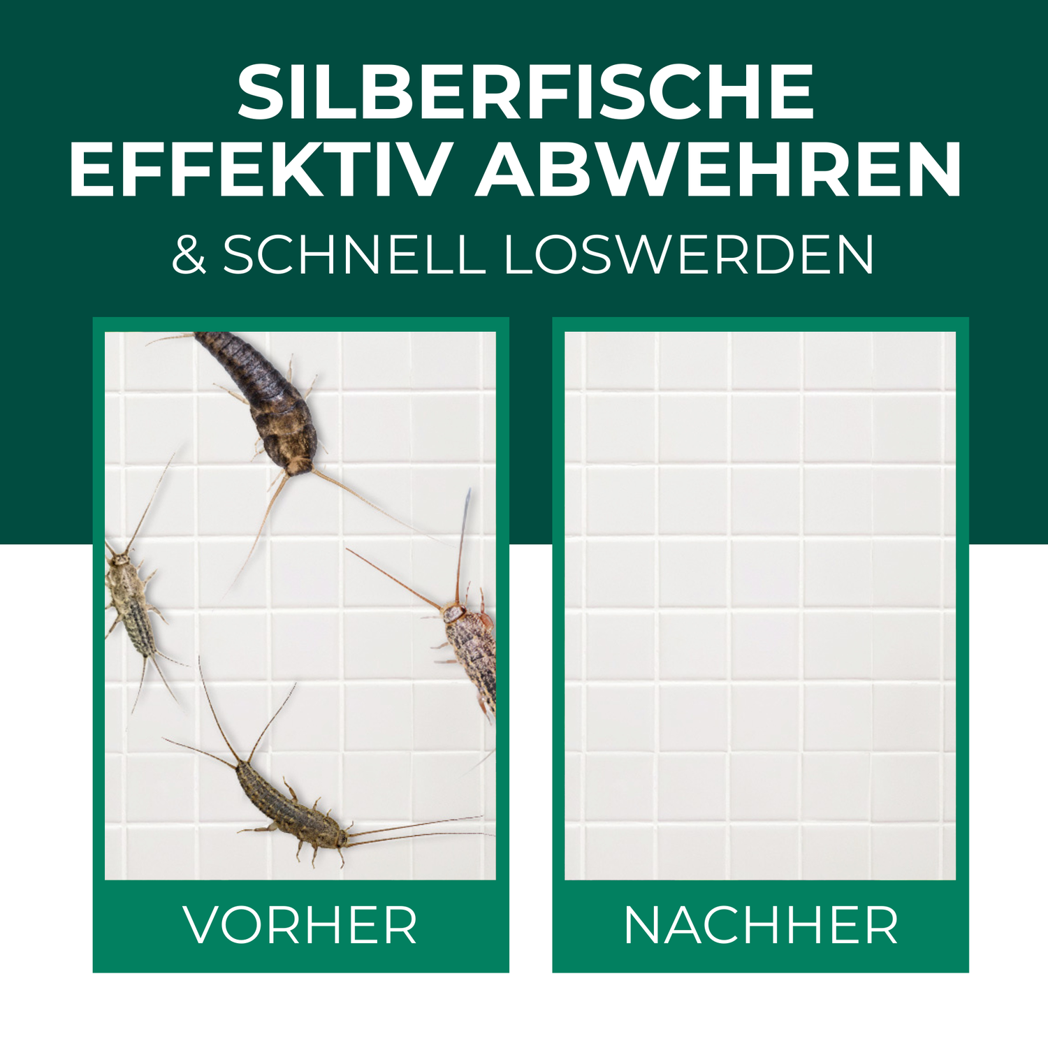 Silberfischfallen Silberfische & Papierfische bekämpfen 10 Stück - Silberkraft