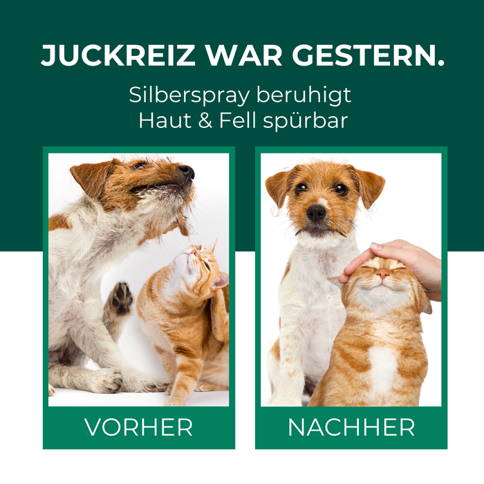 Kolloidales Silberspray 100 ml - Spray zur Wundheilung - Hautpflege bei Ungezieferbefall, Juckreiz, Infektionen, Entzündungen - für Hunde, Katzen, Nagetiere und andere Haustiere - Silberkraft