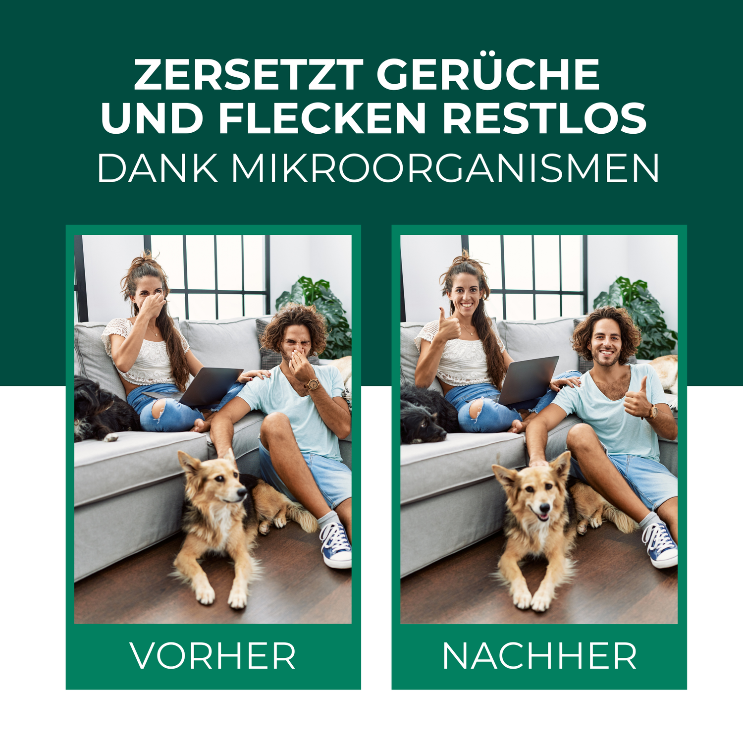 Enzymreiniger Katzen- und Hundeurin sowie Tiergerüche - Silberkraft