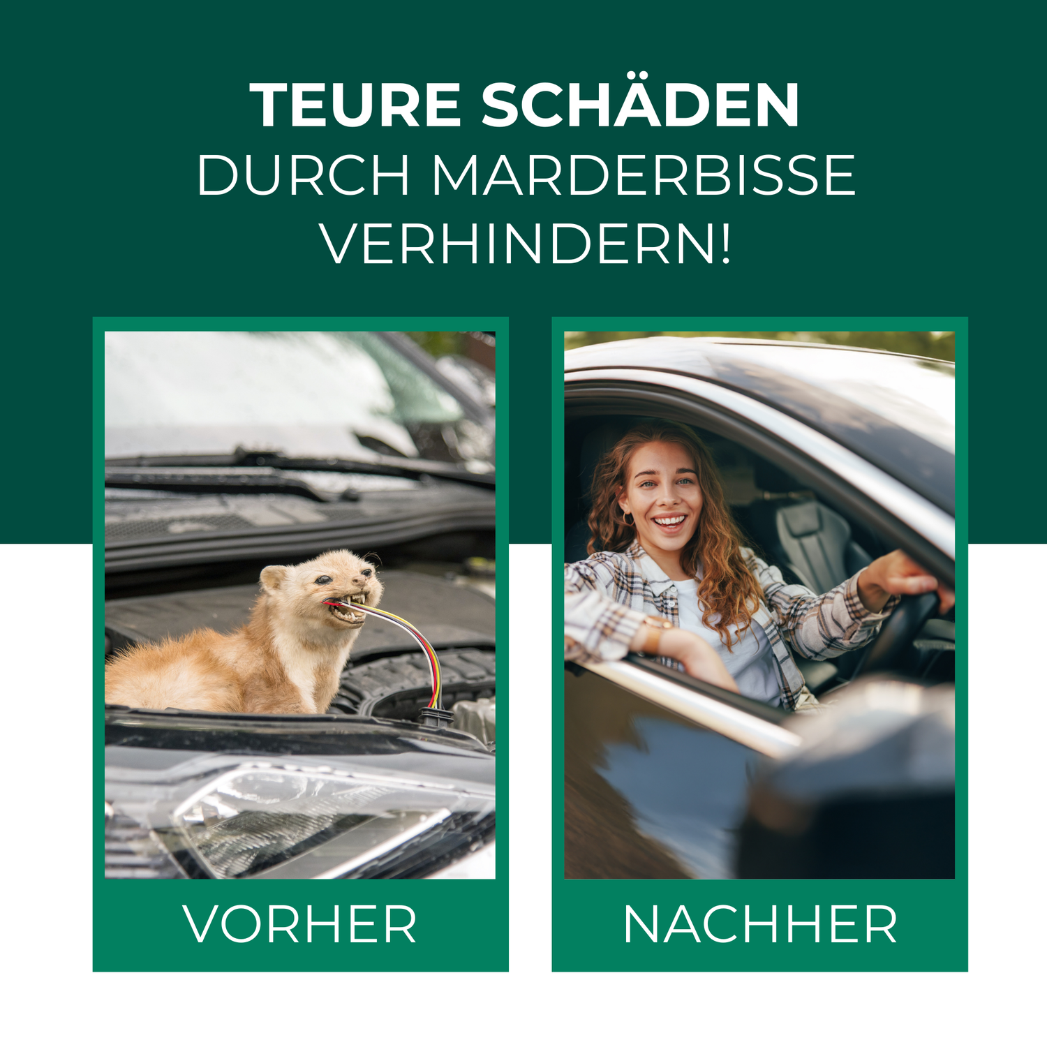 Silberkraft Marderspray – Effektive Marderabwehr im Auto: Verhindert teure Schäden durch Marderbisse an Kabeln und Schläuchen.