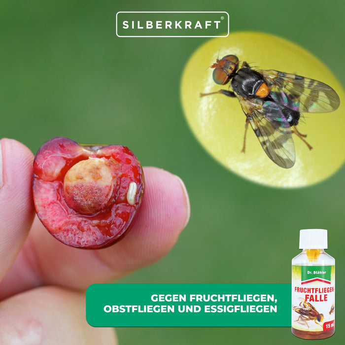 Effektive Fruchtfliegenfalle gegen Frucht-, Obst- und Essigfliegen - Silberkraft