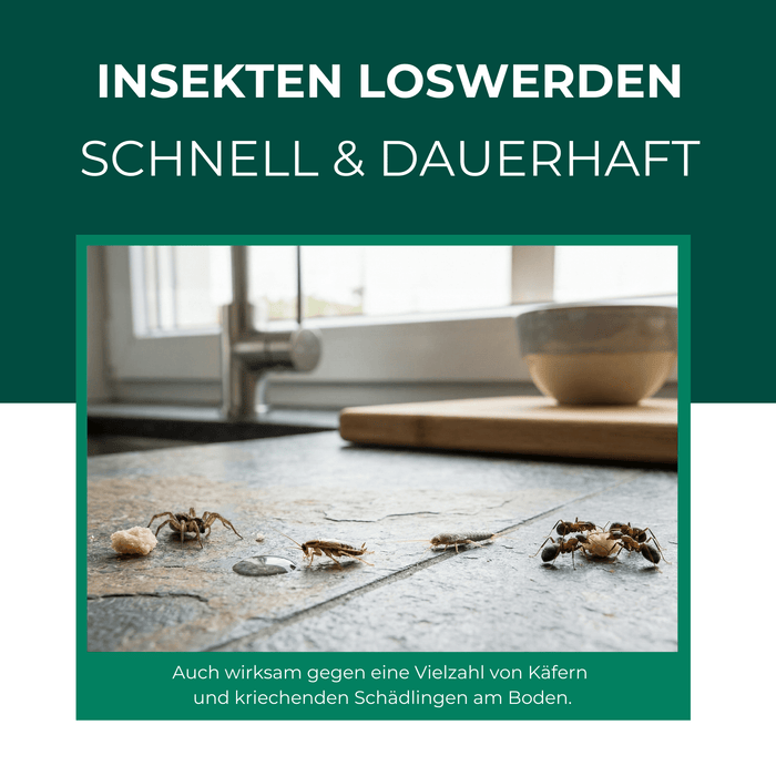 Ungeziefer/ Insektenfalle mit Spezial-Lockstoff - Silberkraft