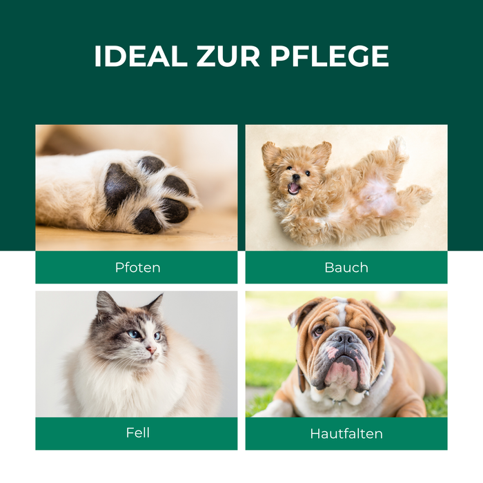 Kolloidales Silberspray 100 ml - Spray zur Wundheilung - Hautpflege bei Ungezieferbefall, Juckreiz, Infektionen, Entzündungen - für Hunde, Katzen, Nagetiere und andere Haustiere - Silberkraft