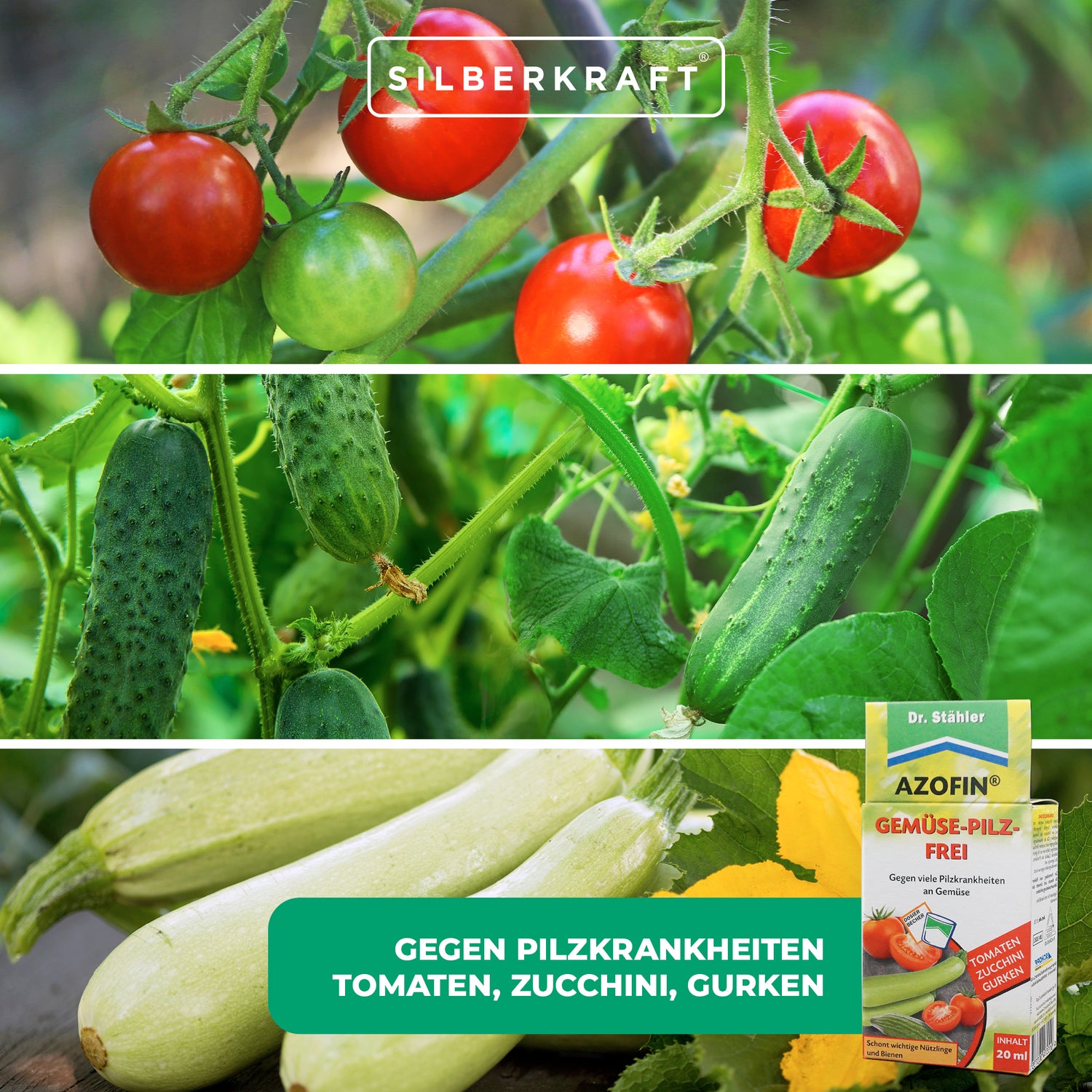 Azofin® Gemüse-Pilz-Frei - Silberkraft