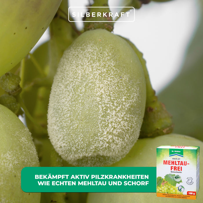 Asulfa® Jet Mehltau-Frei: Zuverlässiger Schutz gegen Mehltau und Milben - Silberkraft