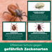 Zeckenfrei-Set - Dein Duo für Schutz & Entfernung - Silberkraft