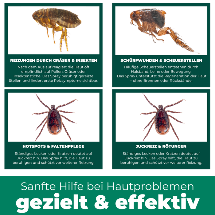 Kolloidales Silberspray 100 ml - Spray zur Wundheilung - Hautpflege bei Ungezieferbefall, Juckreiz, Infektionen, Entzündungen - für Hunde, Katzen, Nagetiere und andere Haustiere - Silberkraft