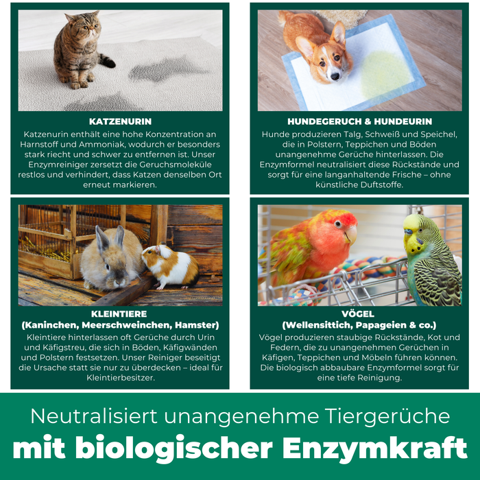 Enzymreiniger Katzen- und Hundeurin sowie Tiergerüche - Silberkraft