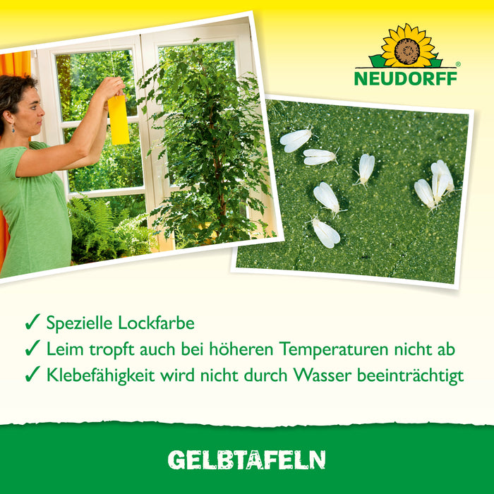Neudorff Gelbtafeln (kleinformatig) - Silberkraft