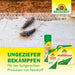 Neudorff Permanent WespenTURBOSpray - Silberkraft