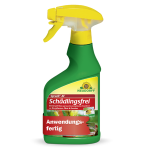 Spruzit NEEM GemüseSchädlingsfrei