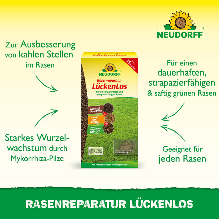 Neudorff Rasenreparatur LückenLos - Silberkraft