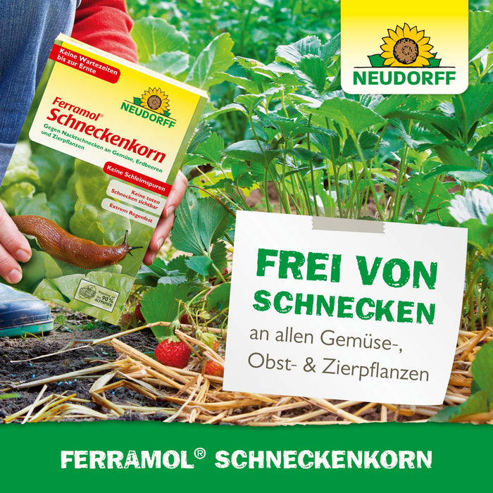 Neudorff Ferramol Schneckenkorn - Silberkraft
