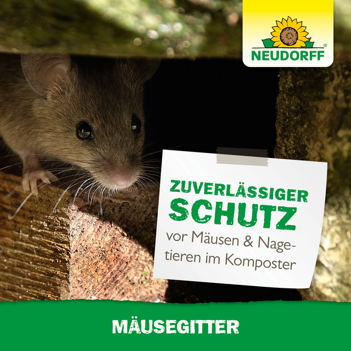 Siatka myszy Neudorffa