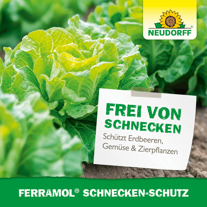 Neudorff Ferramol Schnecken-Schutz - Silberkraft