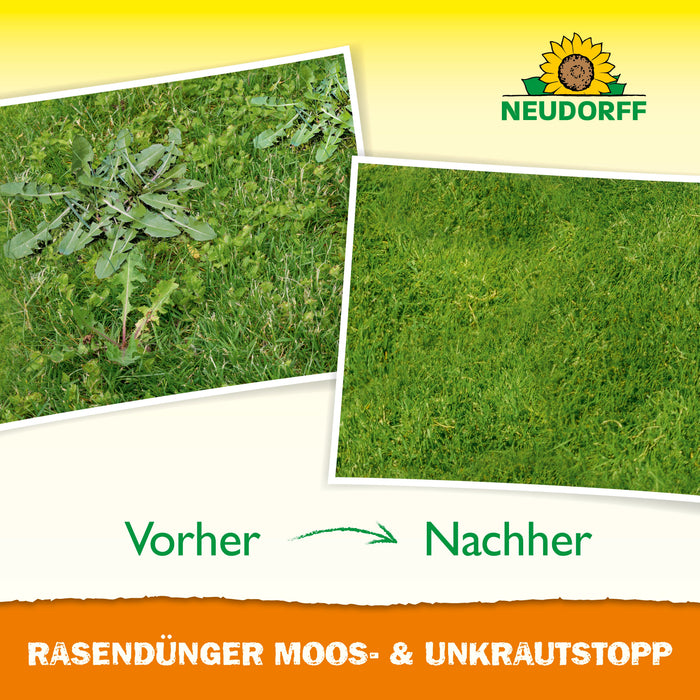 Neudorff RasenDünger Moos- & UnkrautStopp - Silberkraft