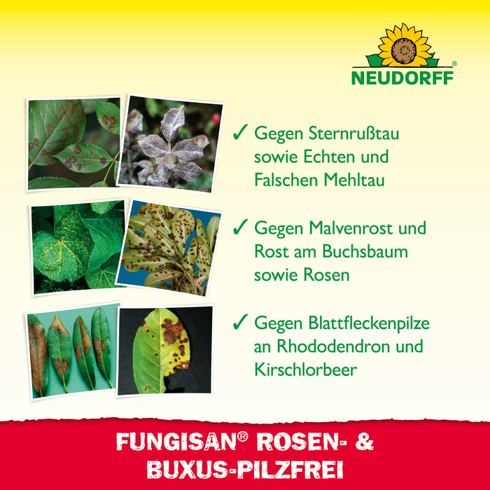 Neudorff Fungisan Rosen- und Buxus-Pilzfrei - Silberkraft