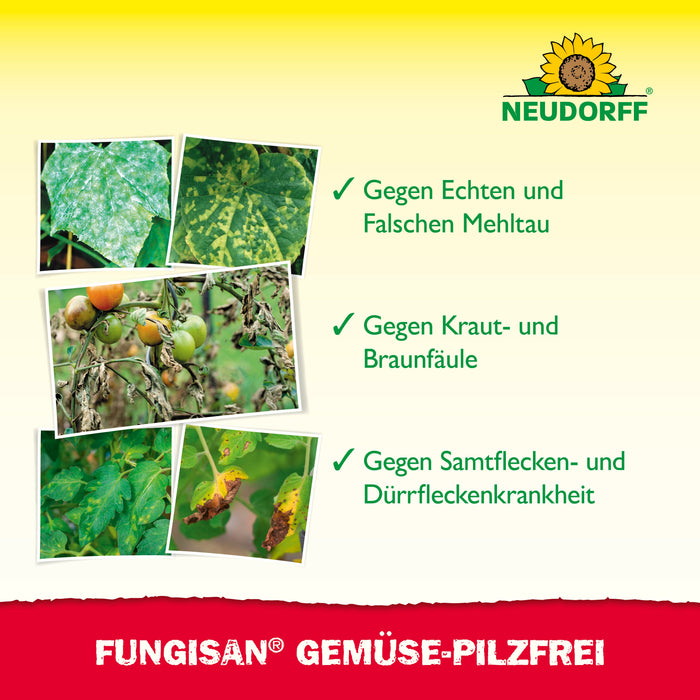 Neudorff Fungisan Gemüse-Pilzfrei - Silberkraft