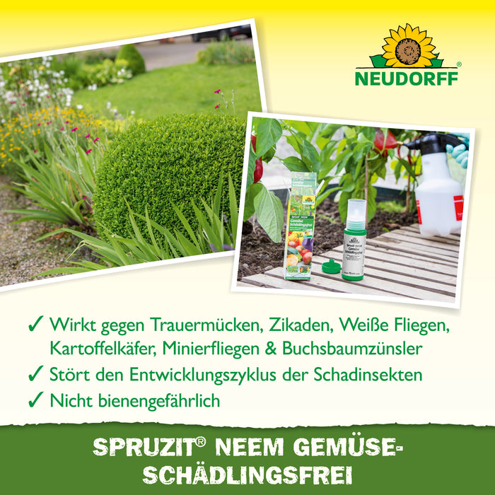 Neudorff Spruzit NEEM GemüseSchädlingsfrei gegen Blattläuse, Kartoffelkäferlarven, Weiße Fliege, Zikaden, Minierfliegen, Raupen, Thripse - Silberkraft