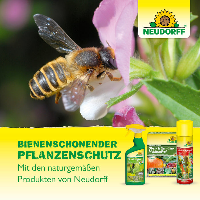 Neudorff Spruzit NEEM GemüseSchädlingsfrei gegen Blattläuse, Kartoffelkäferlarven, Weiße Fliege, Zikaden, Minierfliegen, Raupen, Thripse - Silberkraft