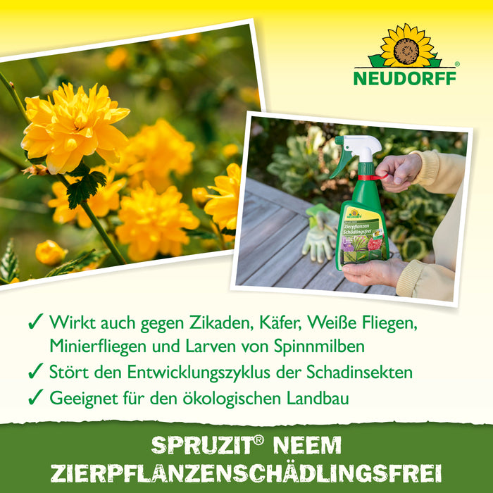 Neudorff Spruzit NEEM ZierpflanzenSchädlingsfrei - Silberkraft