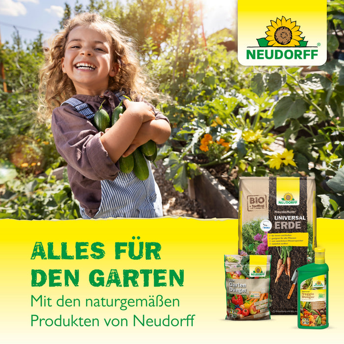 Neudorff Azet Vegane Hornspäne - Silberkraft