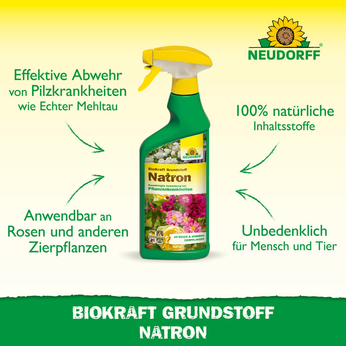Neudorff BioKraft Grundstoff Natron - Silberkraft