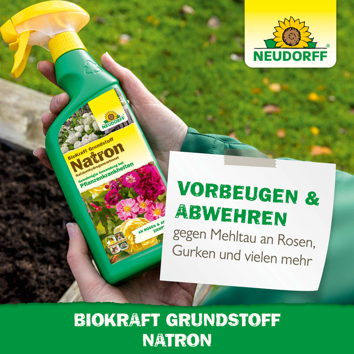 Neudorff BioKraft Grundstoff Natron - Silberkraft