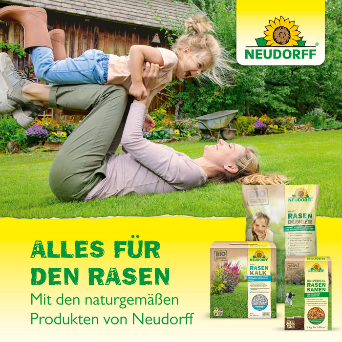 Neudorffs UrgesteinsMehl - Silberkraft