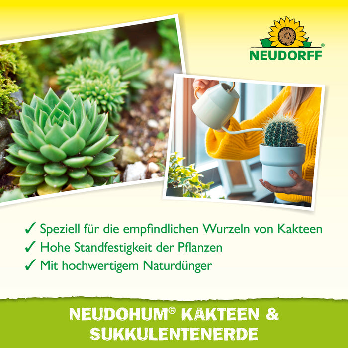 Neudorff NeudoHum Kakteen- & SukkulentenErde - Silberkraft