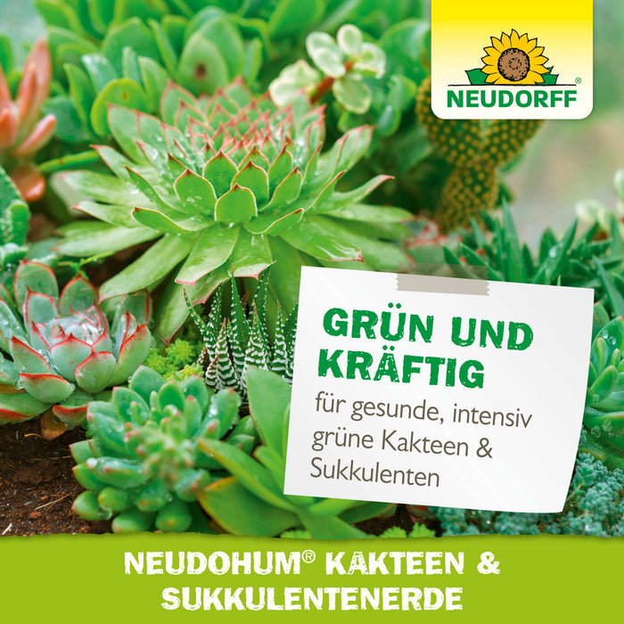 Neudorff NeudoHum Kakteen- & SukkulentenErde - Silberkraft